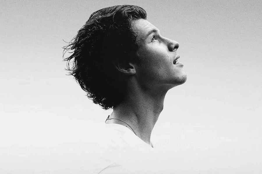 shawn-mendes-in-wonder