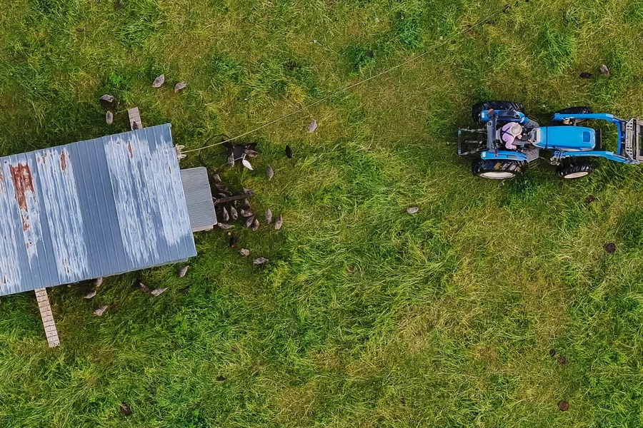 the-lunatic-farmer-joel-salatin-streaming-angel