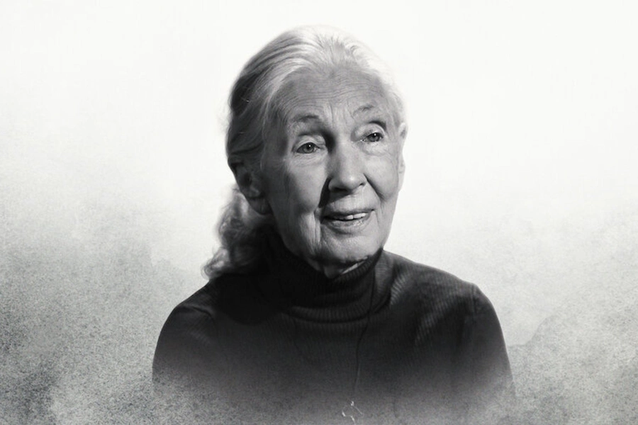 dr-jane-goodalls-inspiring-message-to-the-world