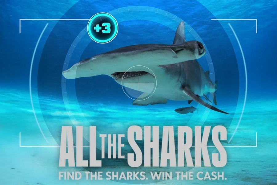 all-the-sharks-reality-series-streaming-netflix